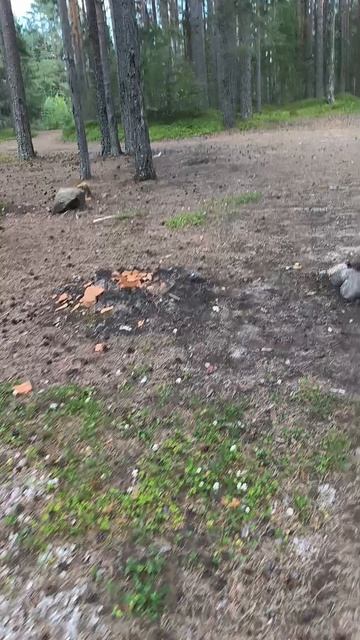 Тихое место..