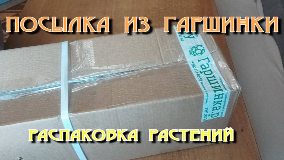 ПОСЫЛКА ИЗ "ГАРШИНКИ". РАСПАКОВКА. смотреть онлайн