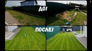 Сажаем Газон на сорняки. До и После!