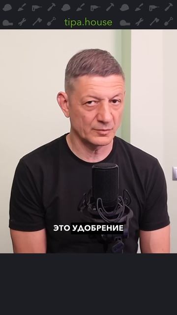 Как победить плесень в доме? смотреть онлайн