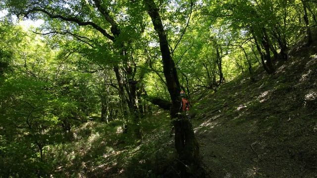 DJI_0008 смотреть онлайн