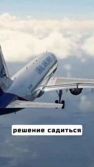 A320 сел на поле под Новосибирском