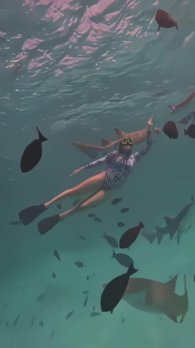 Adaaran Prestige Vadoo смотреть онлайн