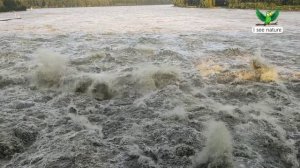 Почему бывают наводнения?