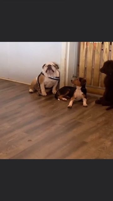 Удивил, со звуком смотреть онлайн