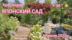 Краснодар - Японский сад - Парк Галицкого - Парк Краснодар - 19 июля 2025 г.
