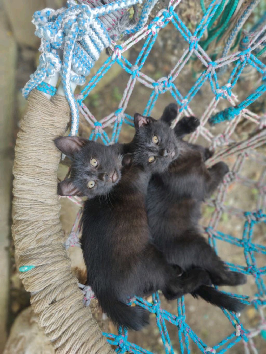 Трансляция стиль эмо games смотреть онлайн