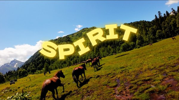 Spirit