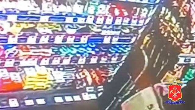В Прокопьевске полицейские задержали злоумышленника за серию хищений из продуктовых магазинов смотреть онлайн