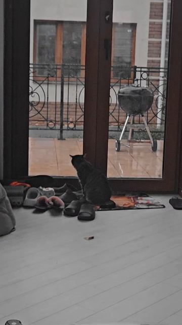 22-07-2025 эй ты