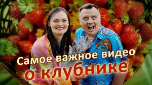 Самое важное видео о клубнике