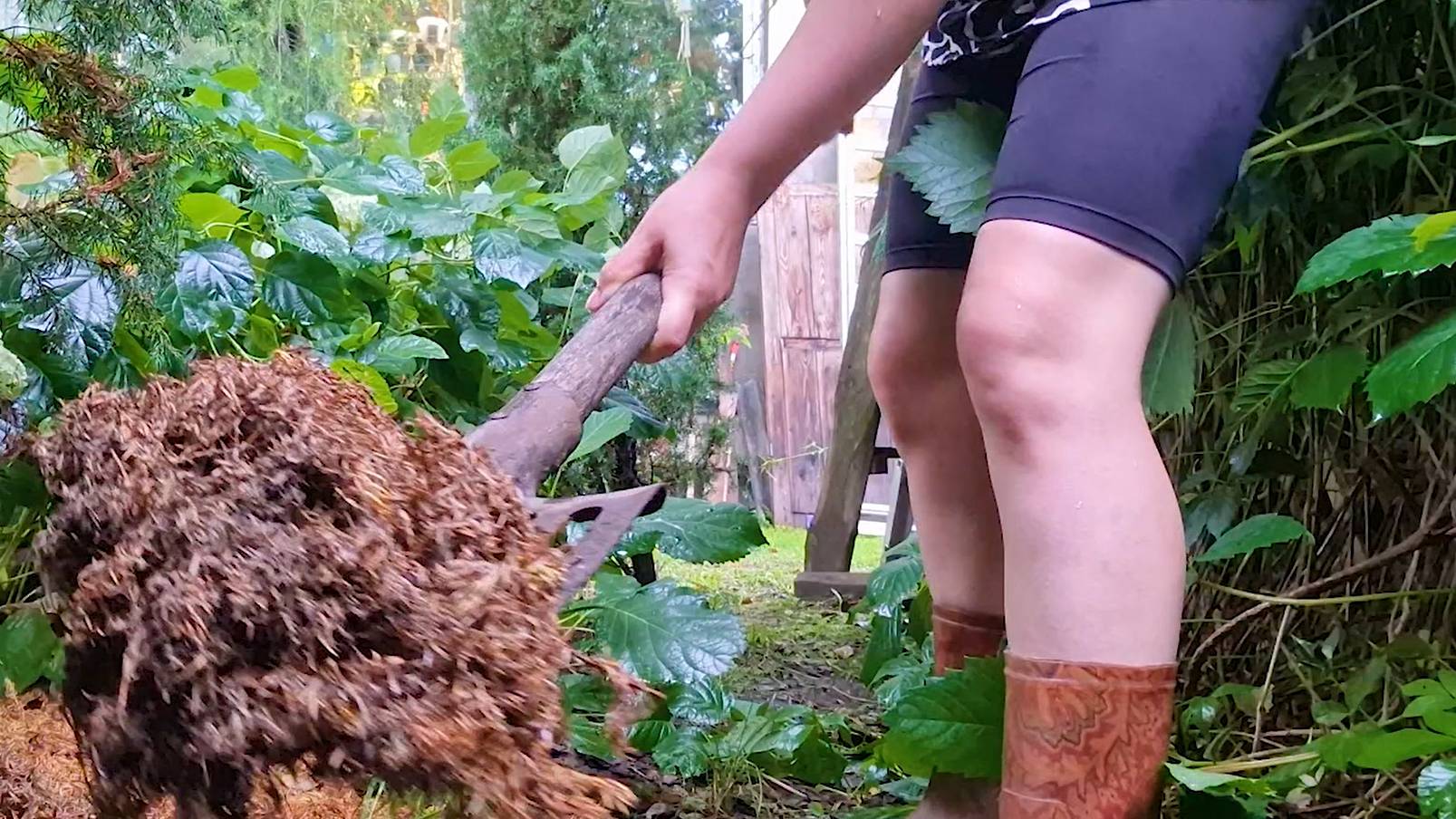 Так нас ещё не заливало! Тушёная капуста с мясом. Чуть не развелись при посадке голубики 🧍♀️ 🧍🤬 смотреть онлайн