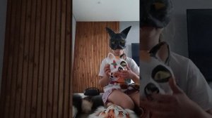 обзор на маски и хвосты (от квд мур)