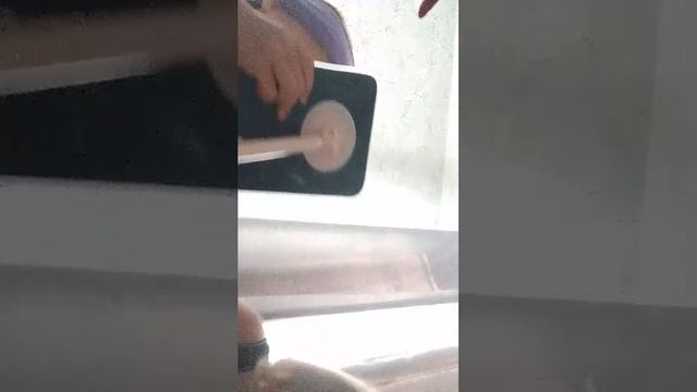 пр смотреть онлайн