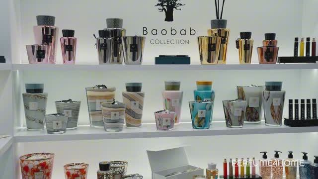 Baobab Collection X Perfume4Home INTERCHARM 2024