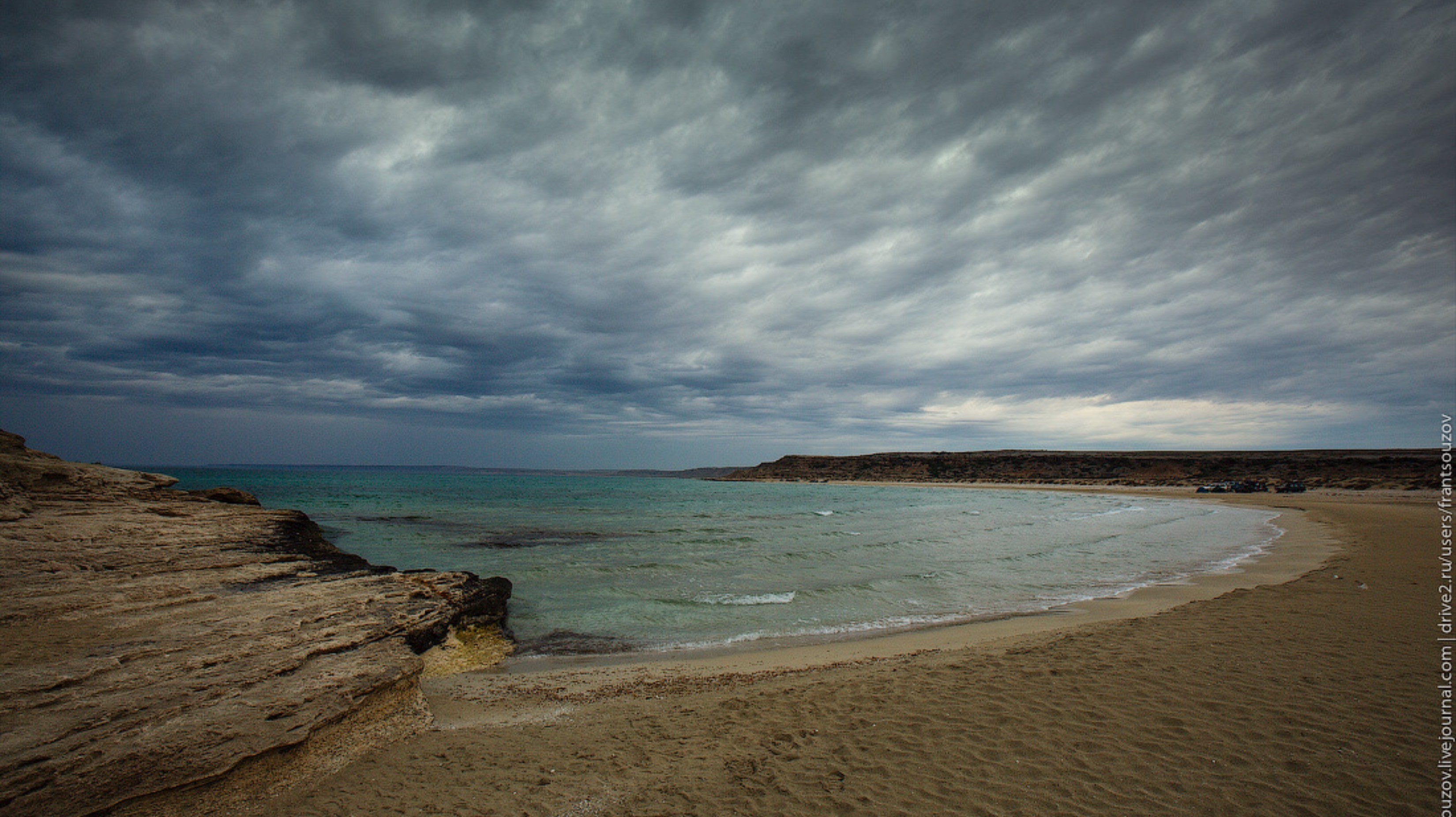 Пустыня в Казахстане. Дикие табуны. Залив Забурунье на  Каспийском море