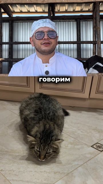 Урок доступен по ссылке в описании