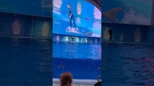 Россия, Приморский край, г. Владивосток, океанариум на острове Русский