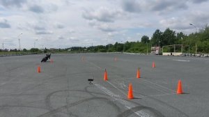 Gymkhana GP 2025 stage 3 / Ivan Latnikov Baltmotorz Motard 200 DD / heat2