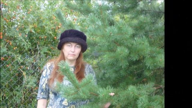 Счастье - Музыка Сергей Сухачёв автор и поёт Сергей Пискун смотреть онлайн