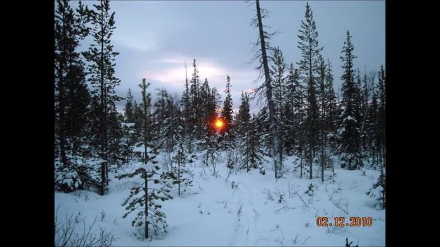 Охотникам об охотниках, охоте и Законе. Вроде завещания. смотреть онлайн
