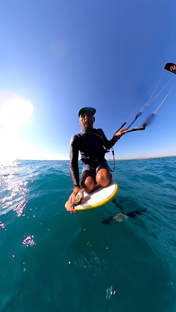 Гидрофойл в Благе на море.