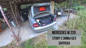 Mercedes-Benz S-Class W220 стоит пол года без запуска