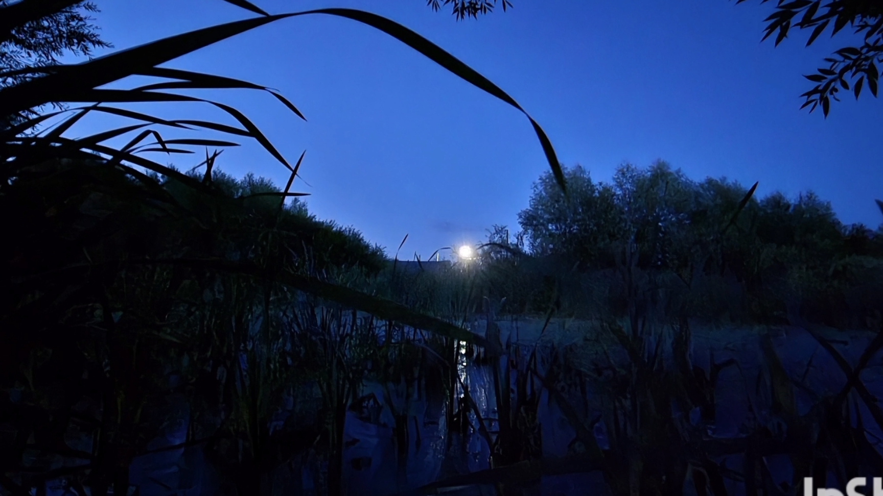 Ночь и болото,хотела продать но...не запланированая работа смотреть онлайн