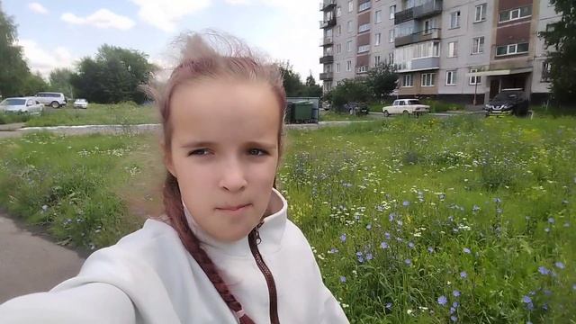 Прогулка Буси