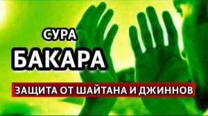 СУРА БАКАРА, ОТ ДЖИНА, ПОРЧИ И Сглаза, КРАСИВЫЙ КОРАН ПЕРЕД СНОМ
