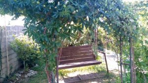 Изумрудные воды Чёрного моря.