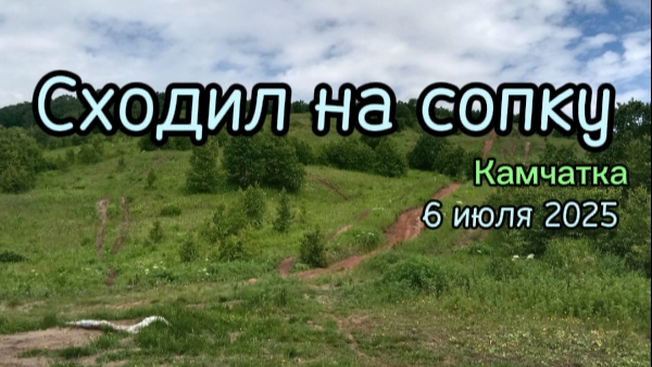Сходил на сопку 6 июля 2025. Камчатка смотреть онлайн