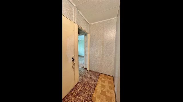 9118399 смотреть онлайн
