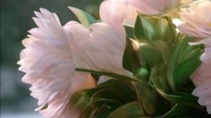 Доброе утро -  Открытки с добрым утром