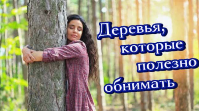 Обними дерево, и почувствуй силу и здоровье! смотреть онлайн