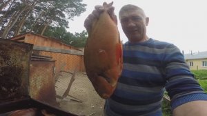 Доработал электрокоптильню