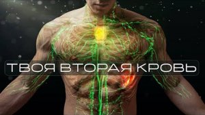 Лимфатическая система, о чём не знают 90% врачей.