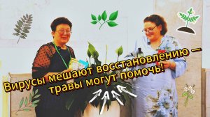 🌱 Почему мы снова возвращаемся к травам?