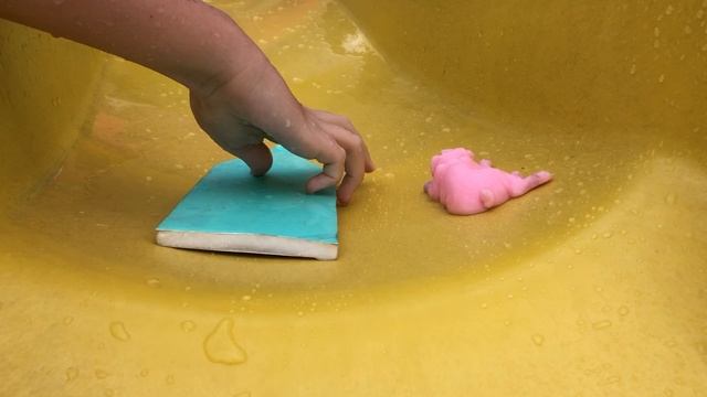 Собачки сквиш ныряют с горки. смотреть онлайн