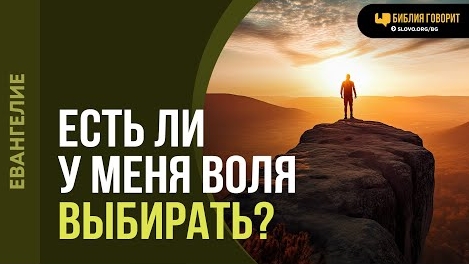 Может ли человек сам выбрать путь к Богу? | "Библия говорит"Алексей Коломийцев смотреть онлайн