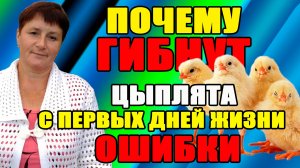Почему ГИБНУТ цыплята с первых дней жизни.