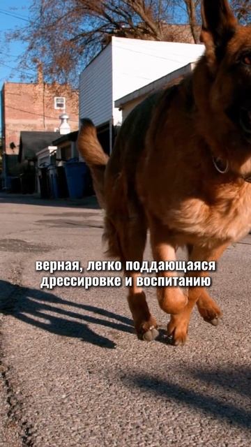 🎁Бесплатные уроки. Жми сюда! смотреть онлайн