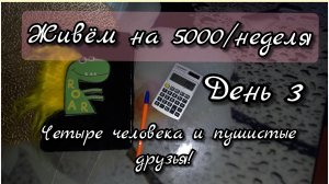 5000 рублей на неделю: Четыре человека и пушистые друзья//день3