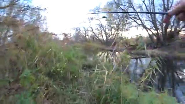 Моя рыбалка смотреть онлайн