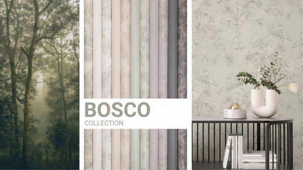 Коллекция Bosco