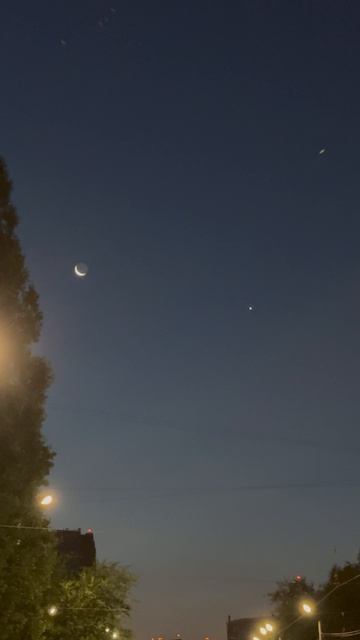 Благоприятный знак перед поездкой для каждого мусульманина