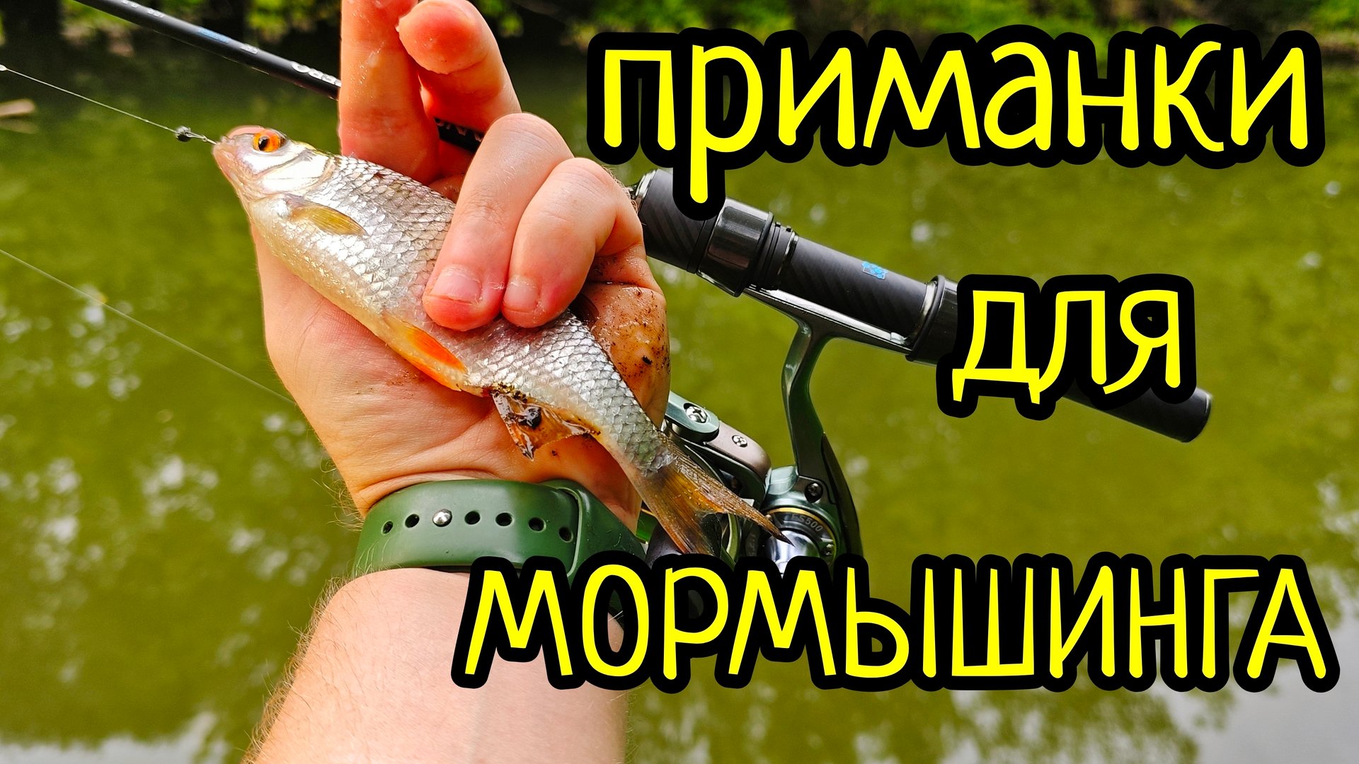 ОЧЕНЬ ТРУДОВОЙ МОРМЫШИНГ !!! CURIOUS FISH , ПРИМАНКИ ДЛЯ МОРМЫШИНГА И НАНО ДЖИГА !!!