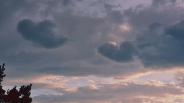 Облака дают знак)