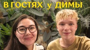 комната-кабинет С РАСТЕНИЯМИ, змеями и НЕОБЫЧНЫМ ОФОРМЛЕНИЕМ зелёной коллекции | в гостях У ДИМЫ 🪴