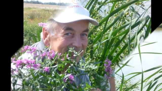 Глаза в глаза - Автор Наталья Геут музыка и поёт Сергей Одинцов смотреть онлайн